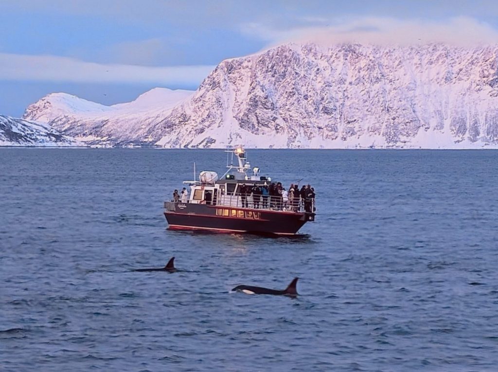 PXL_20250105_112827299~3