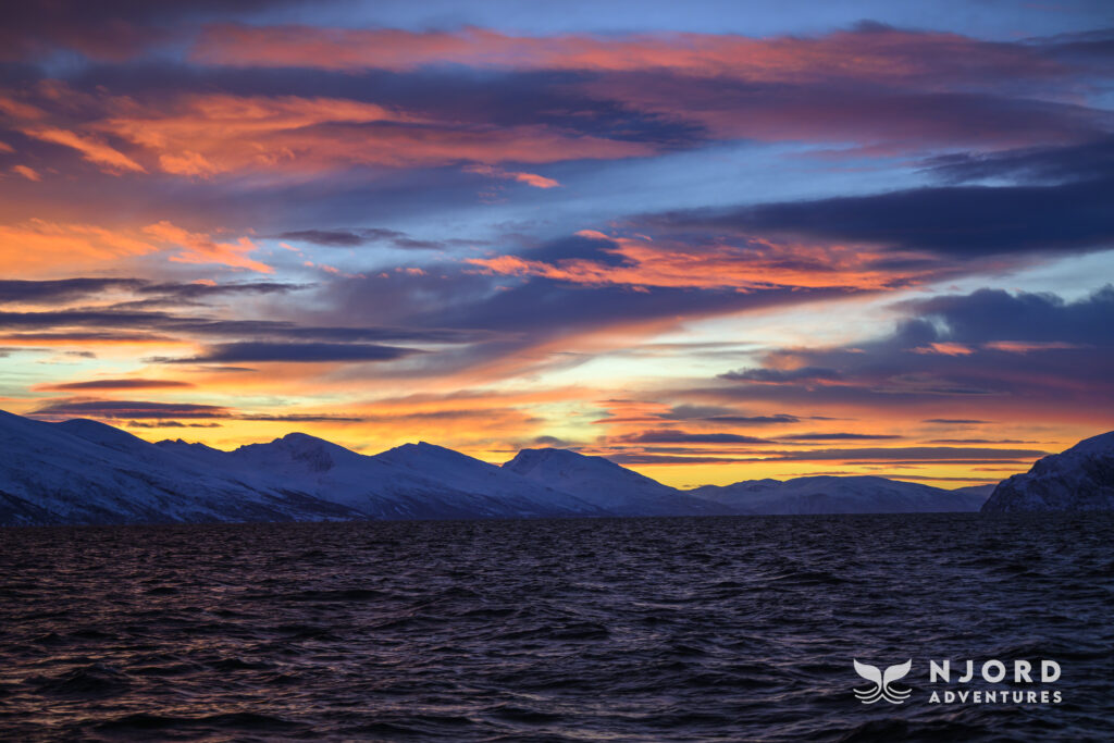Landscape seen on the way to Sommarøy