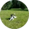 Avatar for Karen Rothe