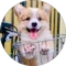 Avatar for Xin Tong